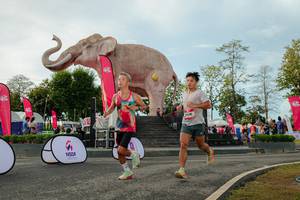 BIB: 
                            <button type="button" onclick="openModal(26529113)" class="btn btn-primary btn-sm float-right btn-popup" data-toggle="modal" data-target=".modal-high-quality">
                        <i class="fas fa-shopping-cart"></i> Add to Cart
                    </button>
                                            <button type="button" onclick="isThisMe(26529113, true)" class="btn btn-success btn-sm float-right btn-popup btn-isme hidden" data-toggle="tooltip" data-placement="bottom" title="นี่คือรูปของคุณใช่ไหม คลิกที่นี่เพื่อเอาเข้าอัลบั้ม">
                        <i class="fas fa-plus"></i> Add to album
                    </button>
                    <button type="button" onclick="isThisMe(26529113, false)" class="btn btn-warning btn-sm float-right btn-popup btn-isnotme hidden">
                        <i class="fas fa-ban"></i> Remove from album
                    </button>